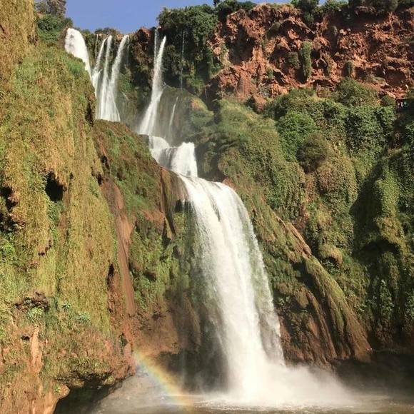 Meet your Posher, Oum - Picture 1 of 1